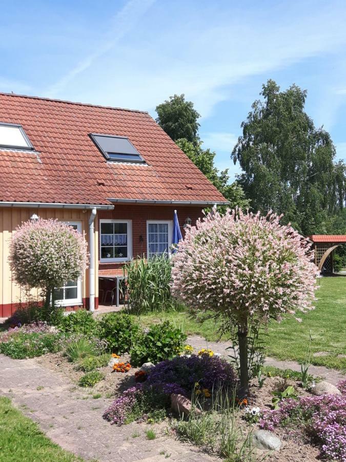 Holiday home Ferienhaushalfte Lutow